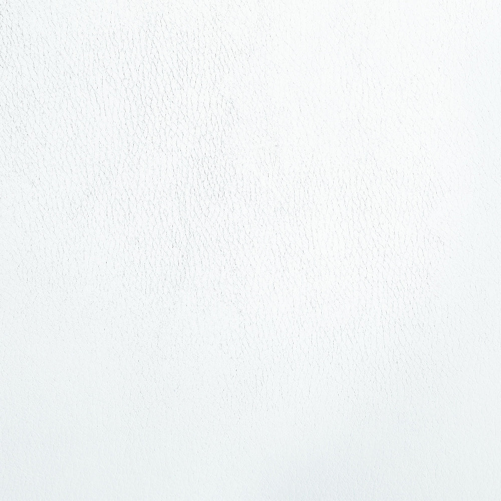 Palton Side Chair (Set of 2) - Ornate Home