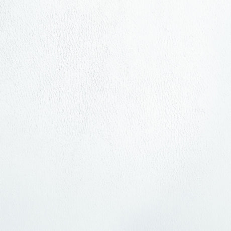 Palton Side Chair (Set of 2) - Ornate Home