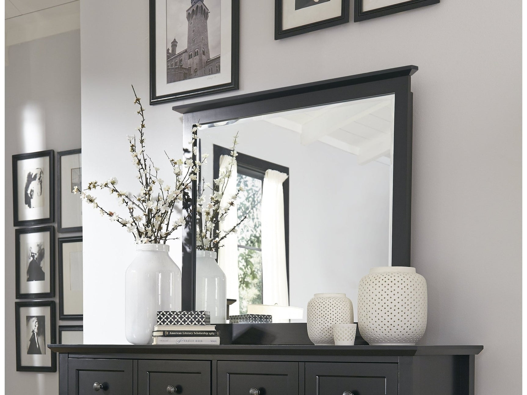 Paragon Beveled Glass Mirror in Black - Ornate Home