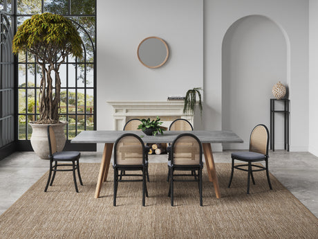 Paragon Dining Chair 1.0 with Grey Cushions in Black and Cane (set of 4) - Ornate Home