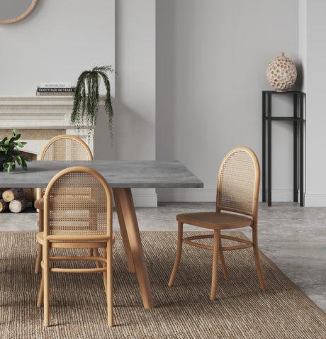 Paragon Dining Chair 2.0 in Nature and Cane (set of 4) - Ornate Home