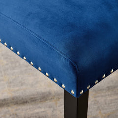 Parcel Navy Performance Velvet Dining Side Chairs (Set of 2) - Ornate Home