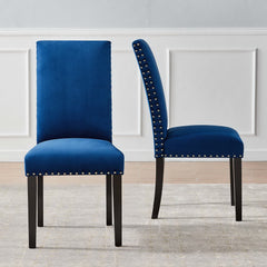 Parcel Navy Performance Velvet Dining Side Chairs (Set of 2) - Ornate Home