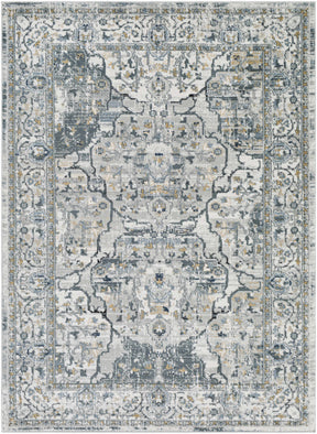 Parcoal Area Rug - Clearance - Ornate Home