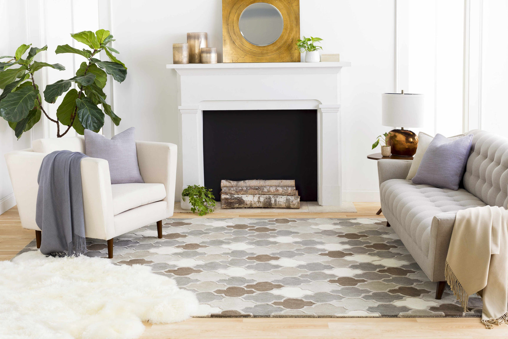 Paron Area Rug - Clearance - Ornate Home