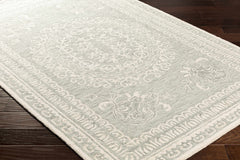 Parson Ivory/Sage Wool Area Rug - Ornate Home