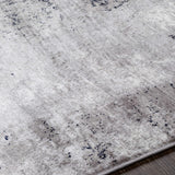 Passi Area Rug - Clearance - Ornate Home