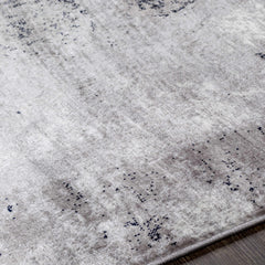Passi Area Rug - Clearance - Ornate Home