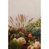 Pata Decorative Vessel - Ornate Home