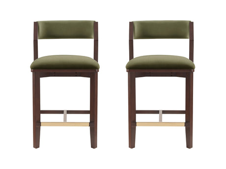 Patricia Counter Stool in Turtle Green (set of 2) - Ornate Home