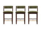 Patricia Counter Stool in Turtle Green (set of 3) - Ornate Home