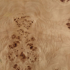 Paulette Natural Coffee Table - Ornate Home