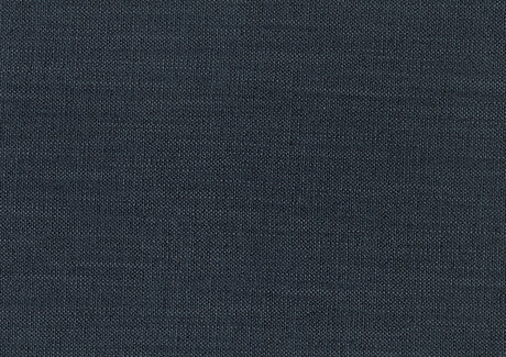 Paulson Blue Gray Side Chair (Set of 2) - Ornate Home