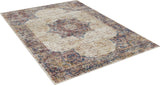 Payas Multi 5' X 7' Area Rug - Ornate Home