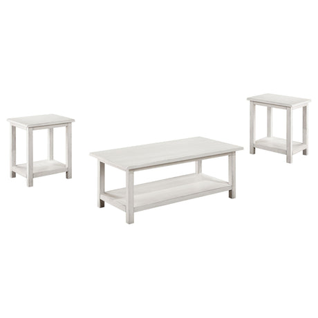 Payne Distressed White 3-piece Coffee and End Table Set - Ornate Home