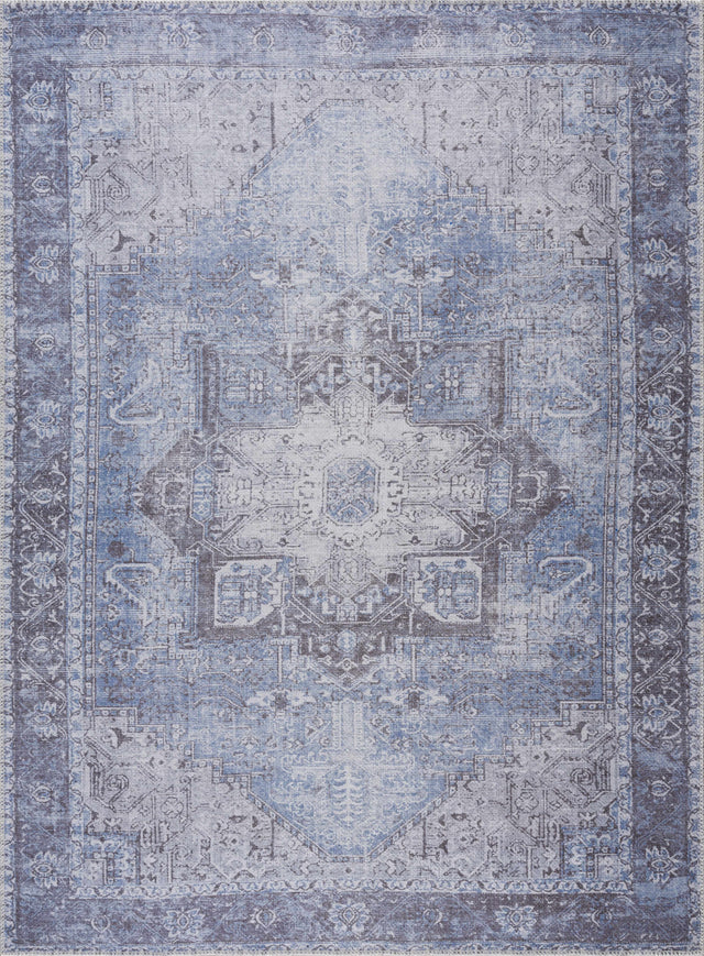 Pays Area Rug - Clearance - Ornate Home