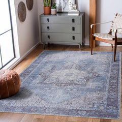 Pays Area Rug - Clearance - Ornate Home