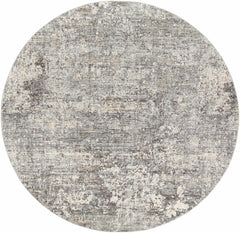 Penokee Carved Statement Rug - Ornate Home