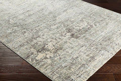 Penokee Carved Statement Rug - Ornate Home