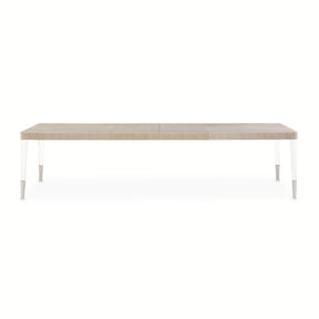 Penthouse Ash Gray Rectangular Dining Table - Ornate Home