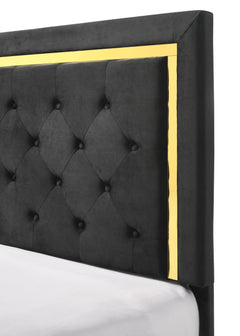 Pepe Black/Gold Upholstered Panel Bedroom Set - Ornate Home