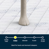 Perfect Day Blue/White 12″ Queen Firm Mattress in a Box - Ornate Home