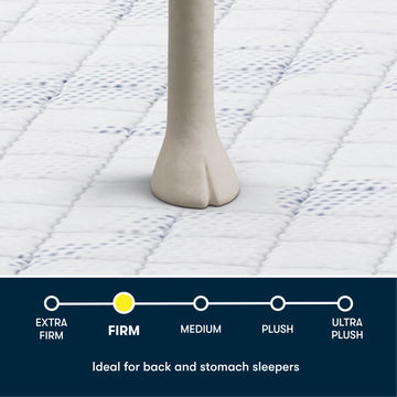 Perfect Day Blue/White 12″ Queen Firm Mattress in a Box - Ornate Home