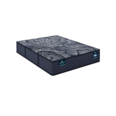 Perfect Sleeper X Excelled 14.25" Dark Blue/Black Hybrid Queen Plush Mattress - Ornate Home