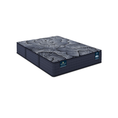 Perfect Sleeper X Knox 13.75" Dark Blue/Black Hybrid Twin XL Plush Mattress - Ornate Home