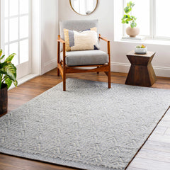 Peri Area Rug - Clearance - Ornate Home