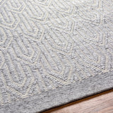 Peri Area Rug - Clearance - Ornate Home
