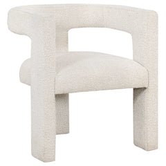 Petra Boucle Upholstered Accent Side Chair - Ornate Home