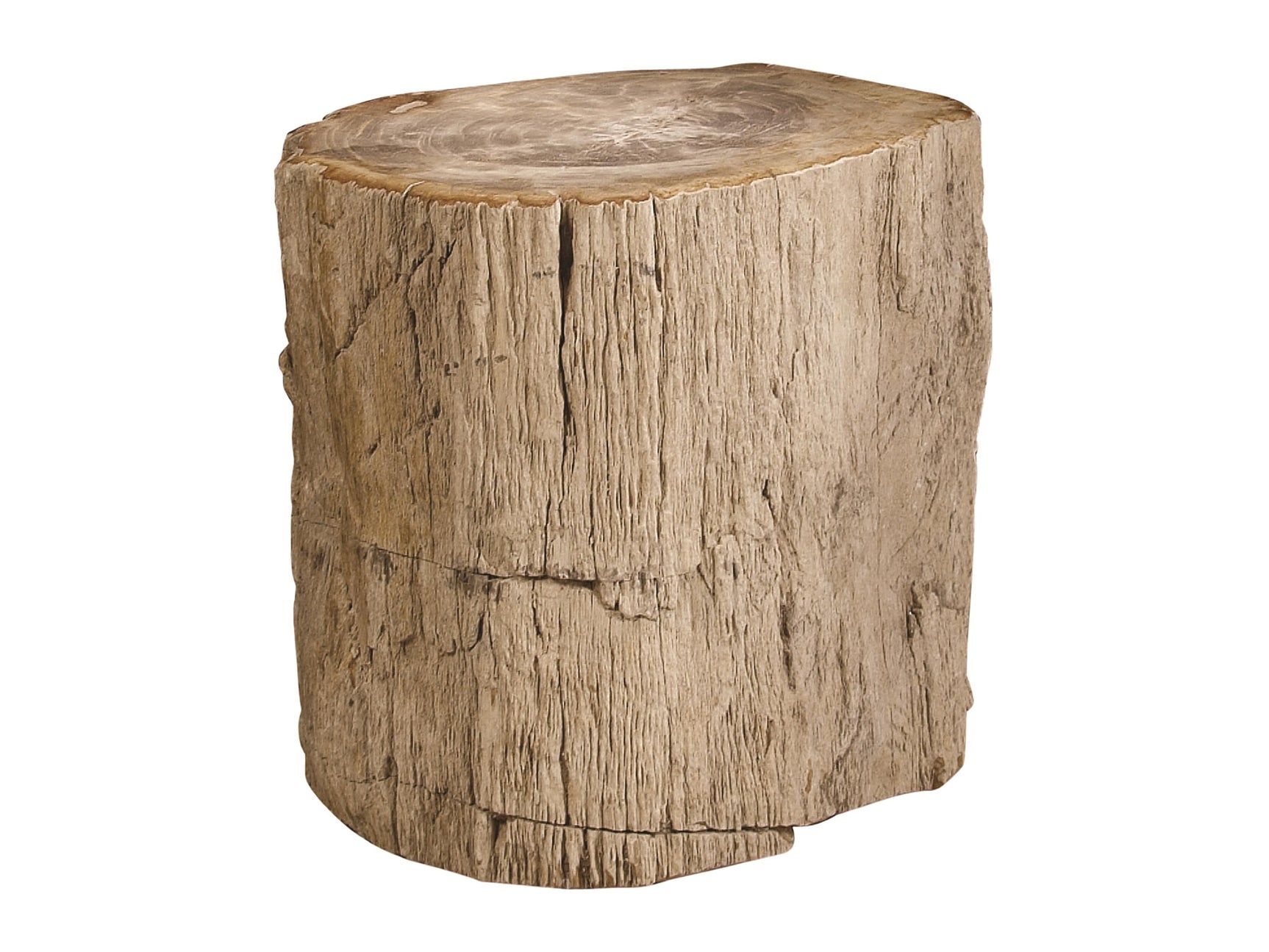 Petrified Petrified Wood Accent Table - Ornate Home