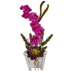 Phalaenopsis Orchid & Succulent Artificial Arrangement in Chair Planter - Ornate Home