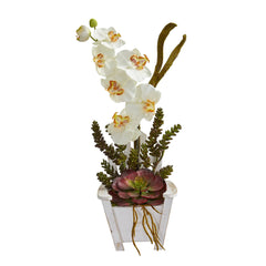 Phalaenopsis Orchid & Succulent Artificial Arrangement in Chair Planter - Ornate Home