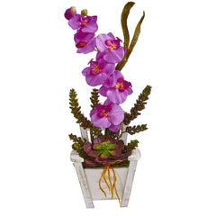 Phalaenopsis Orchid & Succulent Artificial Arrangement in Chair Planter - Ornate Home