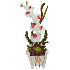 Phalaenopsis Orchid & Succulent Artificial Arrangement in Chair Planter - Ornate Home
