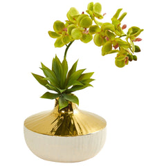 Phalaenopsis Orchid and Agave Artificial Arrangement in Vase - Ornate Home