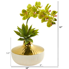 Phalaenopsis Orchid and Agave Artificial Arrangement in Vase - Ornate Home