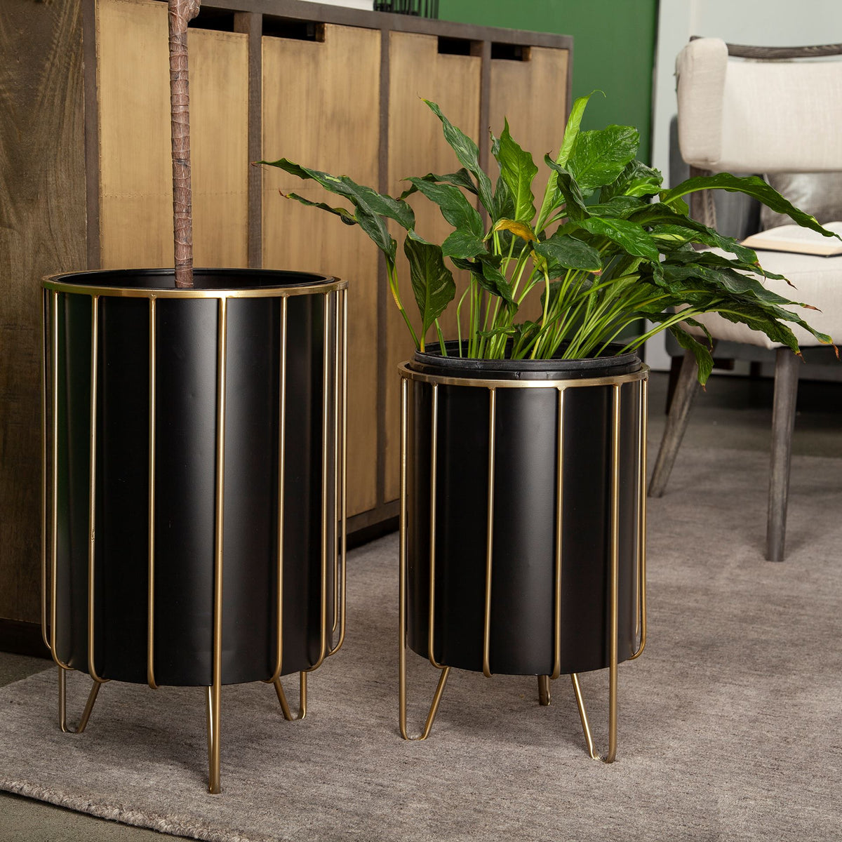 Pianta Black/Brass Metal Insert Frame Plant Stands (Set of 2) - Ornate Home