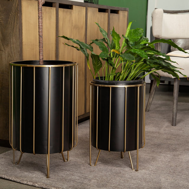 Pianta Black/Brass Metal Insert Frame Plant Stands (Set of 2) - Ornate Home