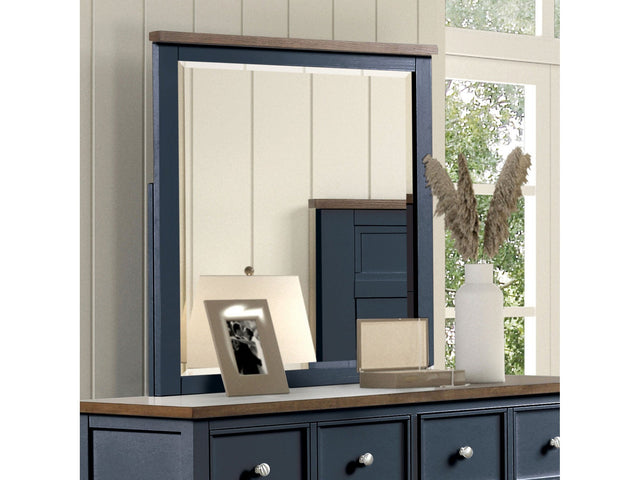 Pinetop Blue/Dark Brown Mirror - Ornate Home