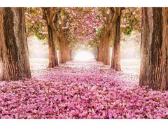Pink Cherry Blossom Tempered Glass w / Foil Wall Art - Ornate Home