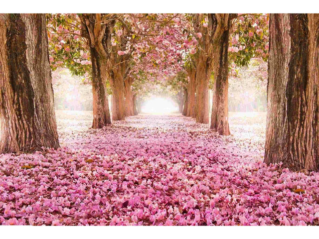 Pink Cherry Blossom Tempered Glass w / Foil Wall Art - Ornate Home