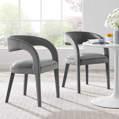 Pinnacle Gray Performance Velvet Dining Chair (Set of 2) - Ornate Home
