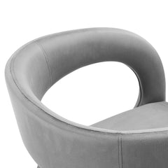 Pinnacle Gray Performance Velvet Dining Chair (Set of 2) - Ornate Home