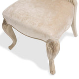 Platine de Royale Champagne Side Chair (Set of 2) - Ornate Home