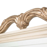 Platine de Royale Champagne Wall Mirror - Ornate Home