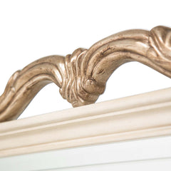 Platine de Royale Champagne Wall Mirror - Ornate Home