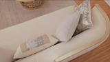 Platinum Manor Beige/Gold Trim Sofa / HD-S6127 - Ornate Home